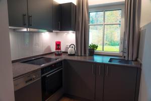 uma cozinha com um fogão, um lavatório e uma janela em Das Luegstein em Kiefersfelden