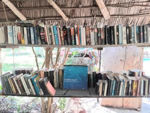 un montón de libros sentados en un estante en Gecko Nature Lodge Home of Swahili Divers the BEST dive center and Famous Gecko Restaurant, en Verani