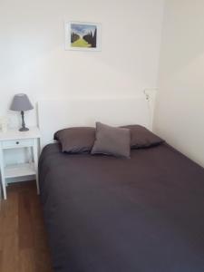 a bed in a bedroom with a night stand and a lamp at Le Petit Mansart in Versailles