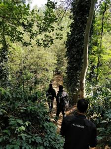 Tres personas caminando por un sendero en el bosque en Villa Vibes, en Chikmagalur