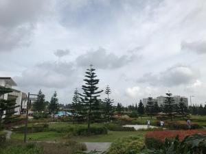 Ein Baum in einem Park unter einem wolkigen Himmel in der Unterkunft Cool Suites at Wind Residences Tagaytay Staycation- IM HANA 1 in Tagaytay