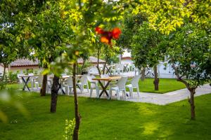 Zahrada ubytování Aroma Butik Hotel
