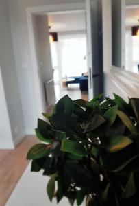 Televízia a/alebo spoločenská miestnosť v ubytovaní Apartament "OldMountain" Olimpijska 1C 1