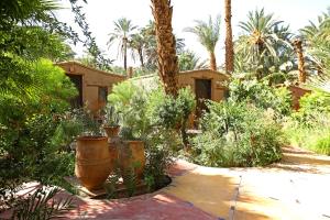 Gallery image of Ecolodge Bab El Oued Maroc Oasis in Agdz