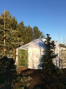 una grande tenda a cupola con porta in una foresta di Valhalla Yurts Odin a Selfoss