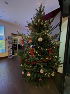 uma árvore de Natal no meio de uma sala em Hotel Jean-Jacques Rousseau em La Neuveville