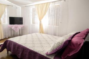 a bedroom with a bed and a tv and a window at Casa Relax in Sânâteşti