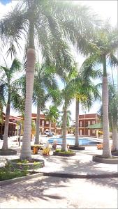 a group of palm trees in a courtyard with a pool at Chalé em Barreirinhas in Barreirinhas