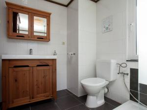 a bathroom with a toilet and a sink and a mirror at Modern Chalet in Sougné-Remouchamps near Forest in Aywaille