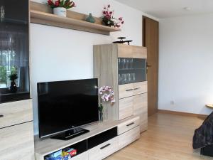 a living room with a flat screen tv at Lovely Apartment in Beckerwitz near Terrace in Beckerwitz
