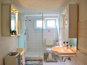 a bathroom with a shower and a toilet and a sink at Attractive apartment in Bellenberg with garden in Horn-Bad Meinberg