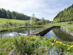 a small pond in a field with flowers at Secluded Apartment in Sch nsee Nearby the Forest in Schönsee