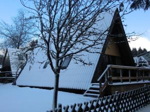 冬のWooden chalet with oven, in Oberharz near a lakeの様子