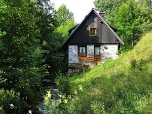 ein kleines Haus auf einem Hügel neben einem Bach in der Unterkunft Converted old mill in St Georgen inBlack Forest in Sankt Georgen im Schwarzwald
