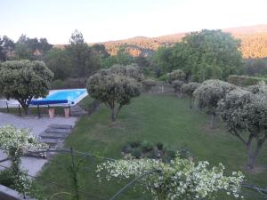 un jardín con piscina y árboles en superb house with private swimming pool en Saumane-de-Vaucluse