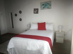 Lusikisiki的住宿－Port grosvenor Beach house，卧室配有白色的床和红色枕头