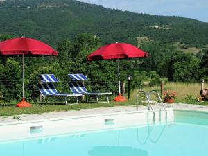 two chairs and umbrellas next to a swimming pool at Farmhouse with small lake swimming pool private terrace garden and sheep in Passignano sul Trasimeno