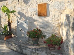 una pared de piedra con tres macetas al lado de una puerta en Quaint Holiday Home in Pasalites with Garden near Perama, en Pasalítai