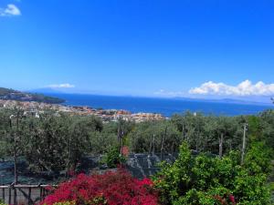 ソレントにあるLavish Mansion in Sorrento with Gardenの木立の丘から海の景色