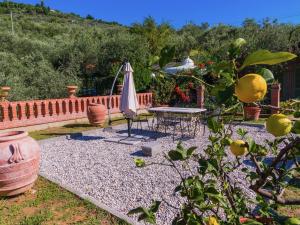 eine Terrasse mit einem Sonnenschirm, einem Tisch und Stühlen in der Unterkunft Belvilla by OYO Nice Farmhouse with Sauna Jacuzzi in Pieve a Nievole