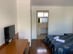 TV a/nebo společenská místnost v ubytování Beaconsfield Lodge Motel