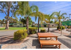 a park with a picnic table and palm trees at Discovery Parks - Lake Bonney in Barmera