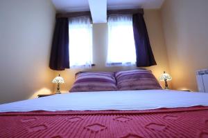 Afbeelding uit fotogalerij van Apartments & Rooms Vienna in Osijek