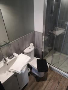 a bathroom with a shower and a toilet and a sink at La Compagnie des 5 Mondes in Saint-Nazaire +23 photos