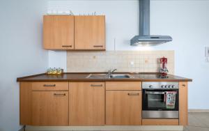 Kuchyň nebo kuchyňský kout v ubytování Adria Apartments