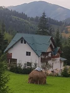 波若勒塔的住宿－Pensiunea Gură de Rai, Pojorâta，田野上带绿色屋顶的白色房子
