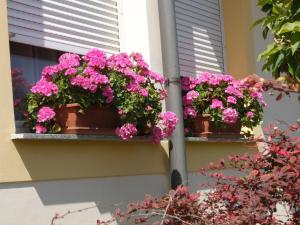 Gallery image of Apartment R&eacute;v&eacute;sz in Hark&aacute;ny