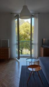 salon z łóżkiem, 2 stołami i oknem w obiekcie Lovely Jubbly Apartment w Krakowie