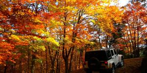 une jeep blanche garée sur une route à côté des arbres dans l'établissement Hotel Restaurante El Ventós, à Sant Felíu de Pallarols