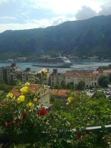a cruise ship in the water with buildings and flowers at Apartment Aki in Kotor