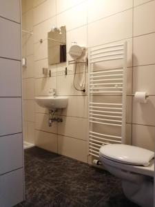 La salle de bains est pourvue de toilettes et d'un lavabo. dans l'établissement B&B V.K. PGmbH, à Saint-Vith