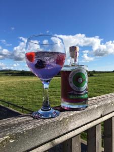 a bottle of gin and a wine glass on a rail with a bottle of gin at Parc Yr Odyn in Pentraeth
