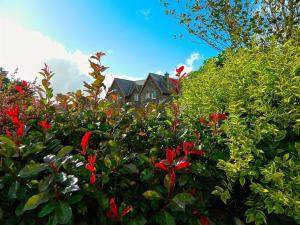una casa en medio de un arbusto con flores rojas en Lake House en Dunmanway