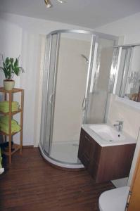 a bathroom with a shower and a sink at Erlebnisbauernhof Sternhof in Bodenmais