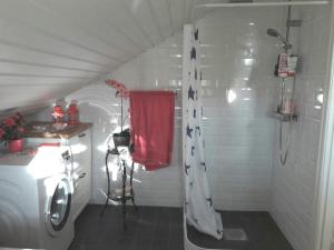 y baño con ducha y toalla roja. en Gårdslägenhet nära Göteborg, 