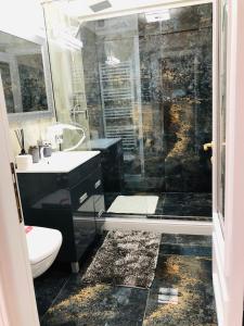 Un baño con ducha, lavabo e inodoro. en The Classic Studio, en Buzău