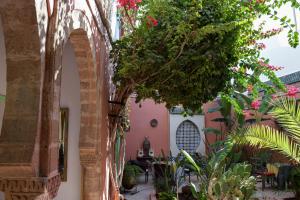 une cour avec une bande de plantes dans un bâtiment dans l'établissement Dar Dayana, à Essaouira