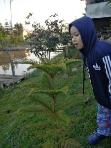 un joven parado frente a una planta en Maan Mork Khao Kho, en Khao Kho