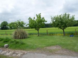 Zahrada ubytování Woodview B Colchester