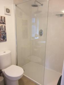a bathroom with a shower and a toilet at The Summer Room in Norwich
