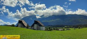 Afbeelding uit fotogalerij van Apartment Nah Dran by FiS - Fun in Styria in Bad Mitterndorf