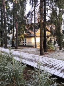 una pasarela de madera frente a una casa con árboles en Snezhny Resort, en Korobitsyno