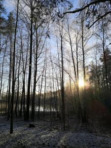 コロビツィノにあるSnezhny Resortのギャラリーの写真