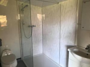 a shower in a bathroom with a toilet and a sink at Old Mill House Log Cabins in Dorchester
