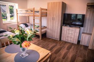 TV a/nebo společenská místnost v ubytování Red Pine Apartments