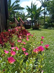 a bush of pink flowers in a yard at Morada Vista da Lagoa in Garopaba